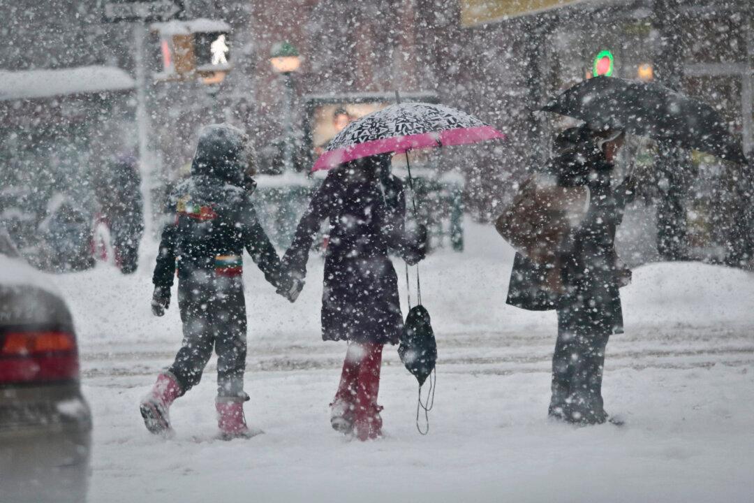 Amidst Snow, New Yorkers Muse Over Warm Tropics