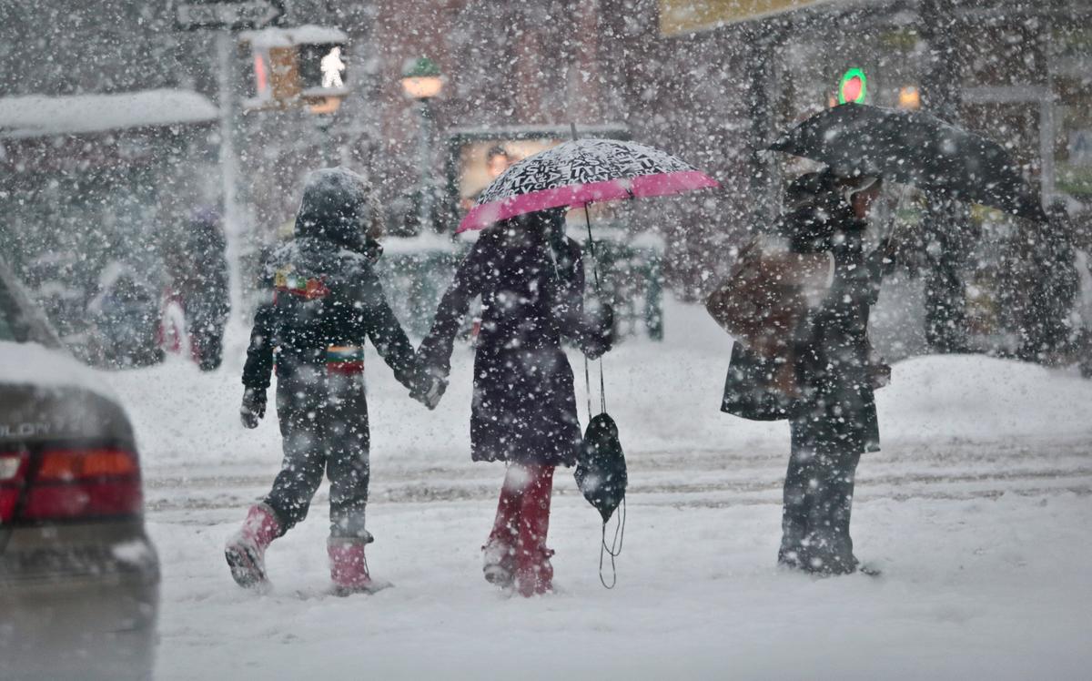 Amidst Snow, New Yorkers Muse Over Warm Tropics