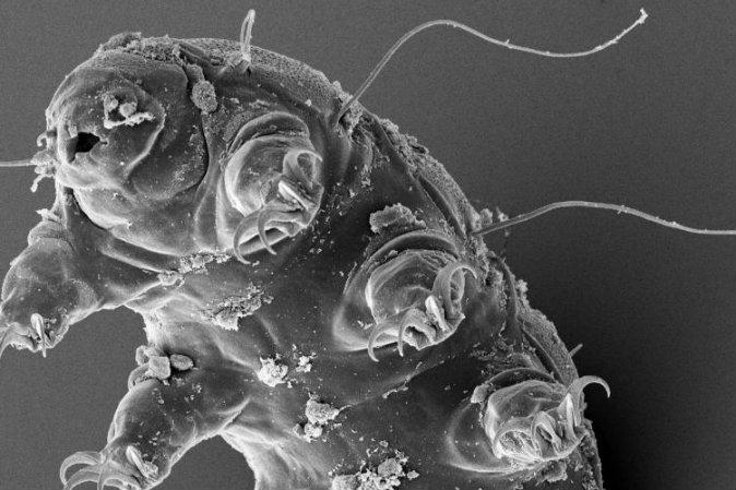 Shrink to the Size of a Particle and See the World Like Never Before