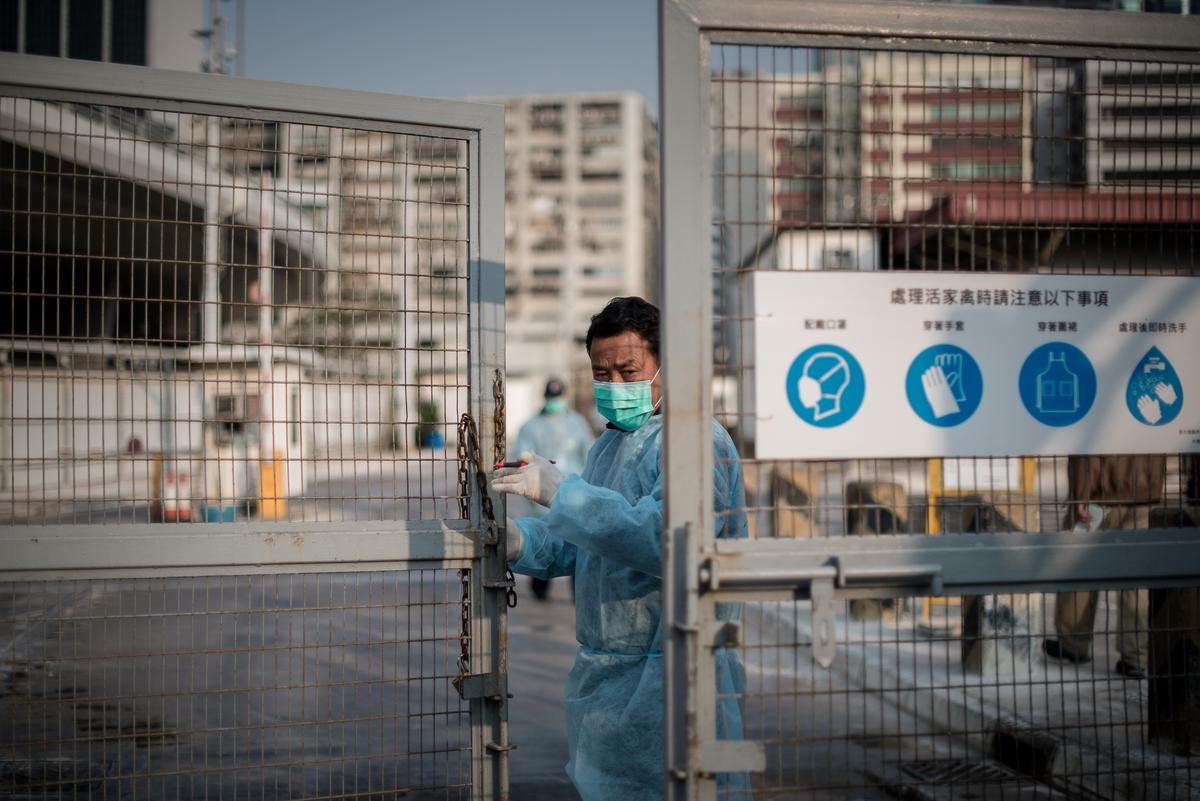 Bird Flu Reappears in China, Mutations Feared