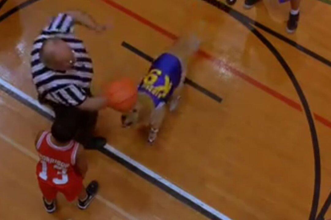 Air Bud Dog Dies: ‘RIP’ Tweet for Air Buddy, Comet Dog Goes Viral 15 Years After Death