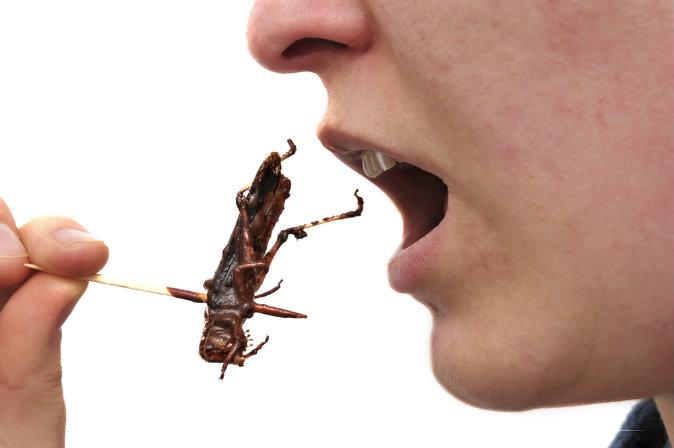 11 Bugs a Lot of People Love to Eat