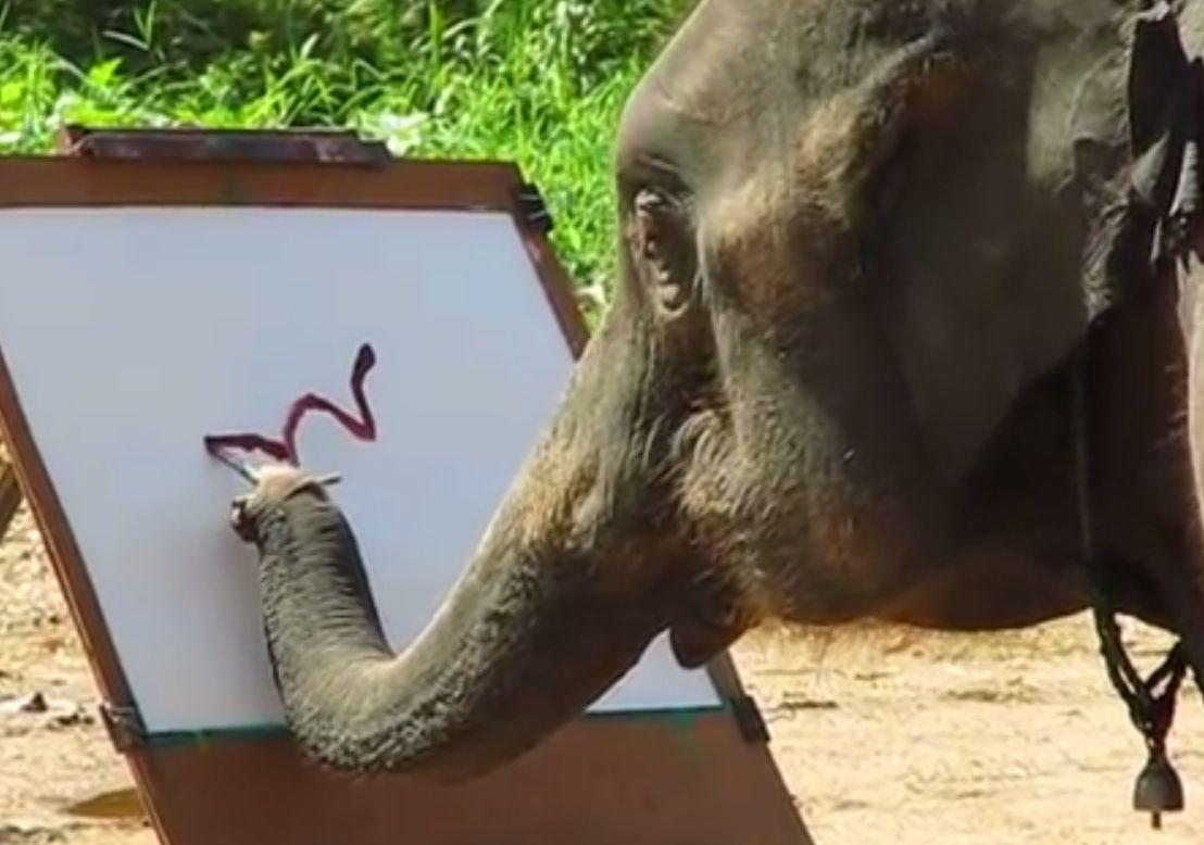 ‘Elephant Painting an Elephant’: Is Facebook Video of Suda Real?