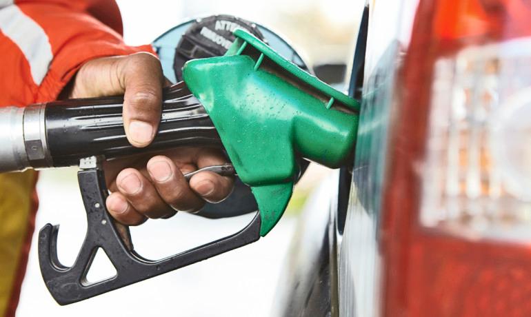 A New Way to Turn Plant Waste Into Gasoline