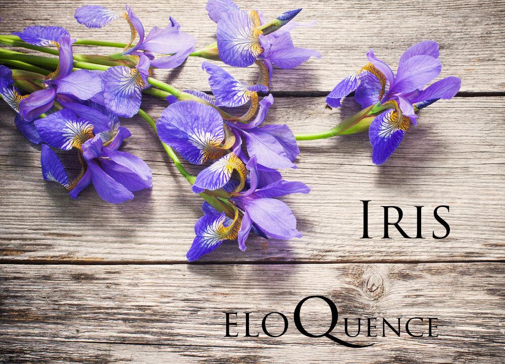 Valentine’s Day Flowers: What Your Flower Choice Means