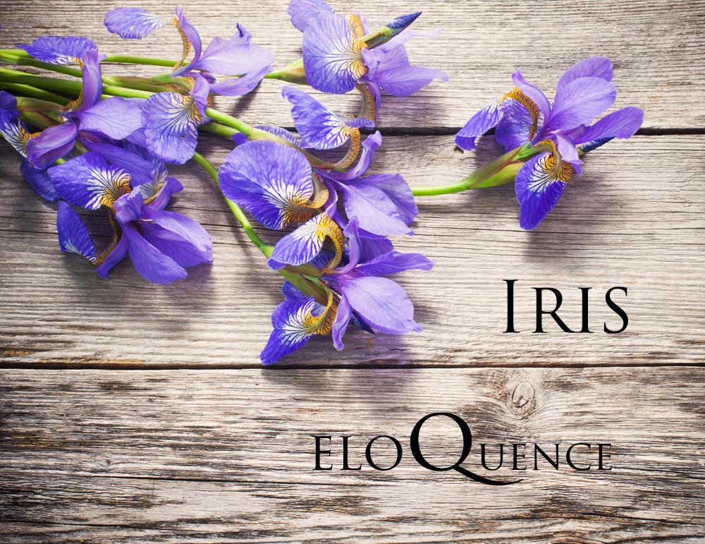 Valentine’s Day Flowers: What Your Flower Choice Means