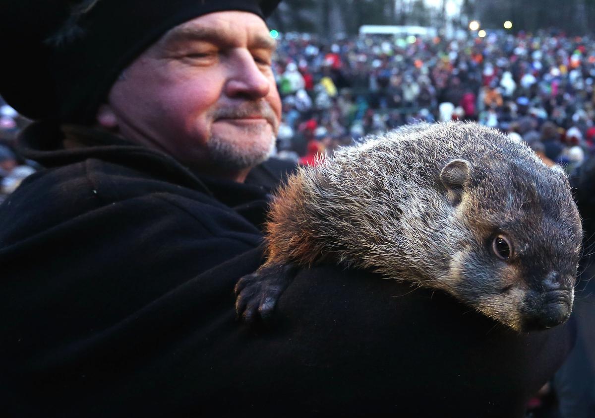 Groundhog Day 2014: When to Watch, Predictions, Accuracy