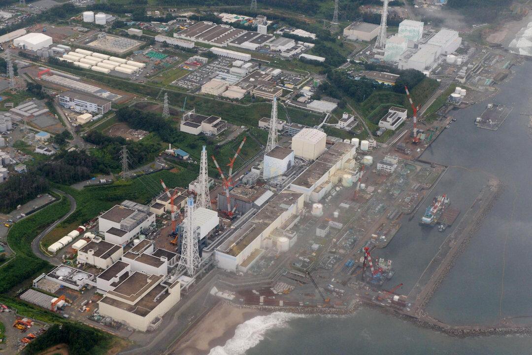 Fukushima Radiation Report Released Two Weeks After Evacuees Get the Green Light to Return