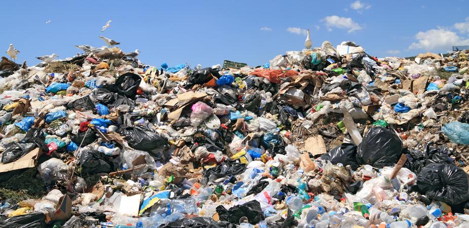 How to Create Wealth From Waste and Reduce Our Landfill