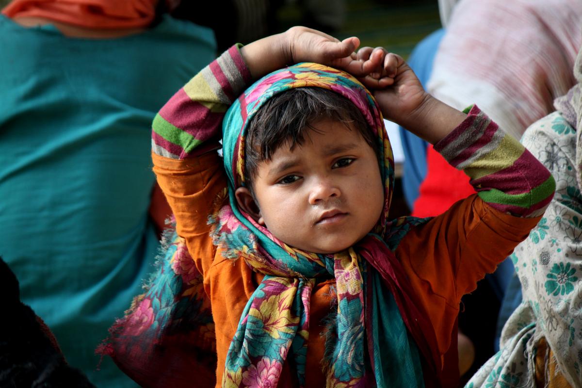 Burma in Transition: The Plight of the Stateless Rohingya