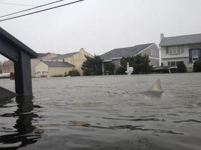 In the Unverified Digital World, Are Journalists and Bloggers Equal?