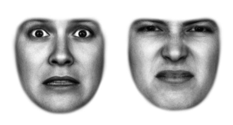 Faces Show Fear and Disgust to Help Eyes See
