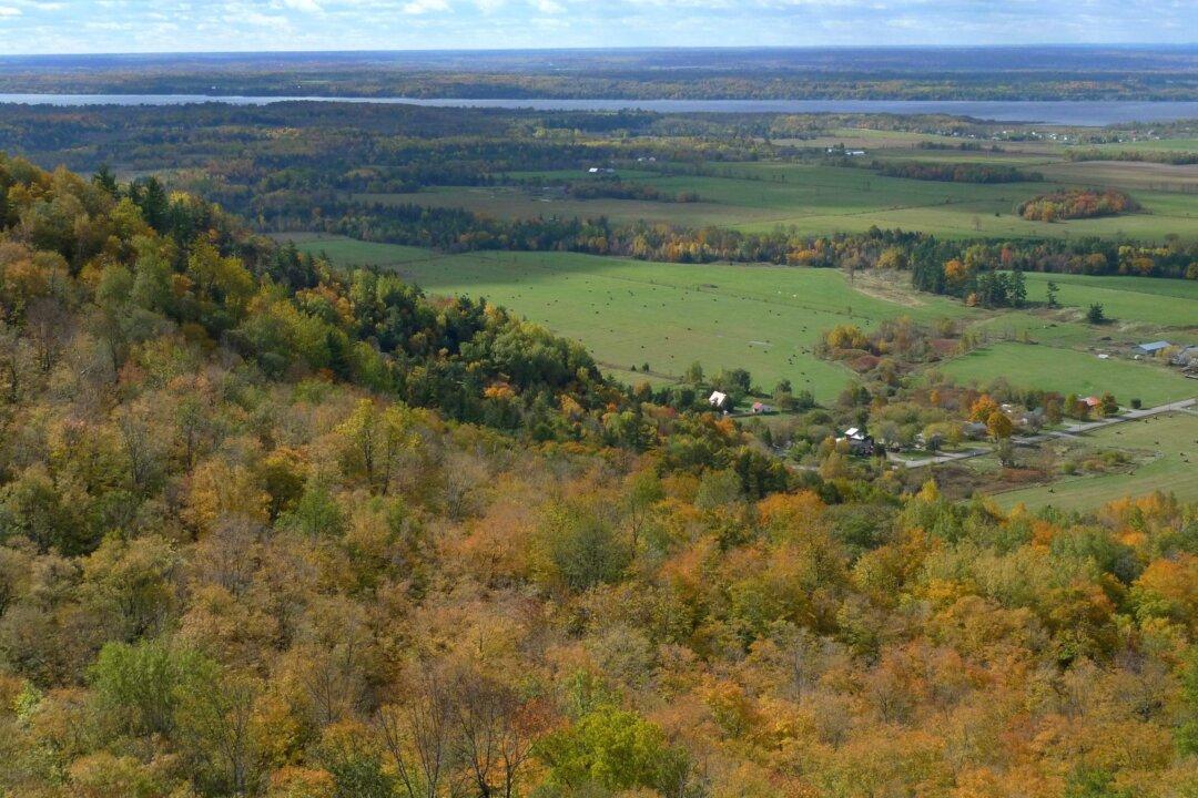 Closure of Kemptville College Could Hurt Agriculture, Jobs: Unions