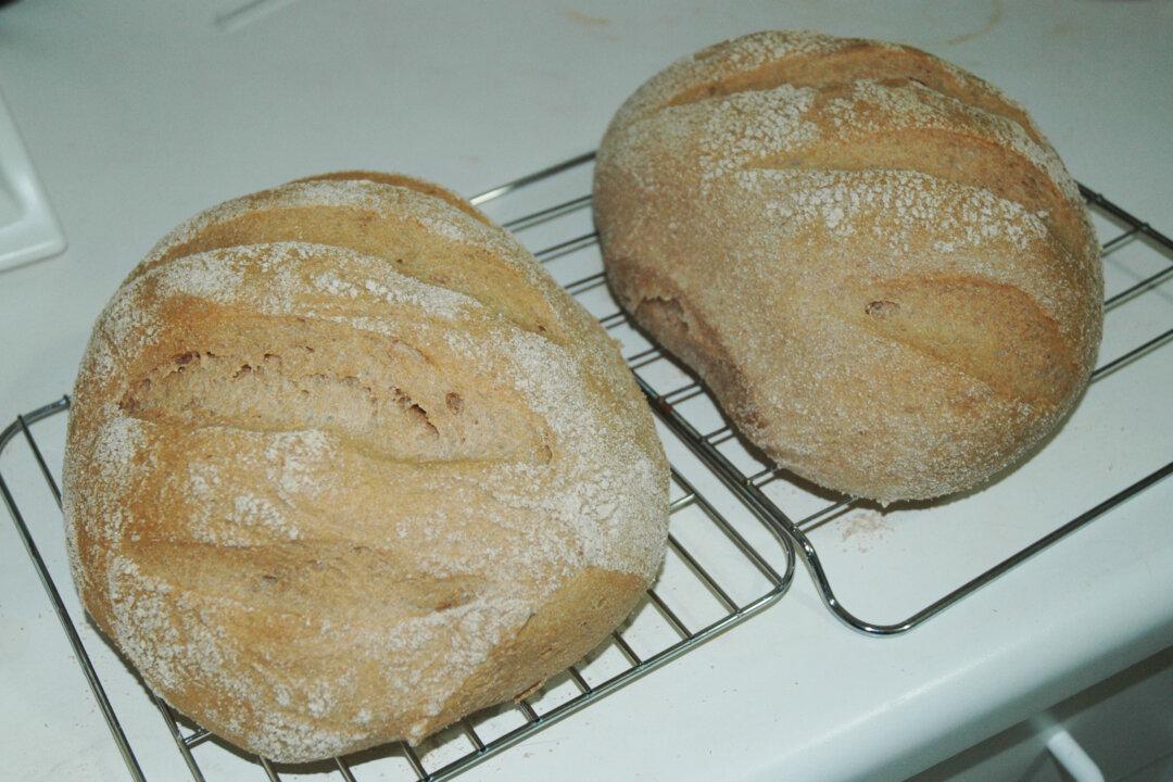 Wild Sourdough From Your Own Backyard