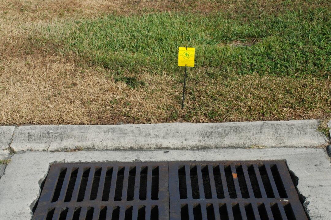 The Ocean’s Biggest Challenge