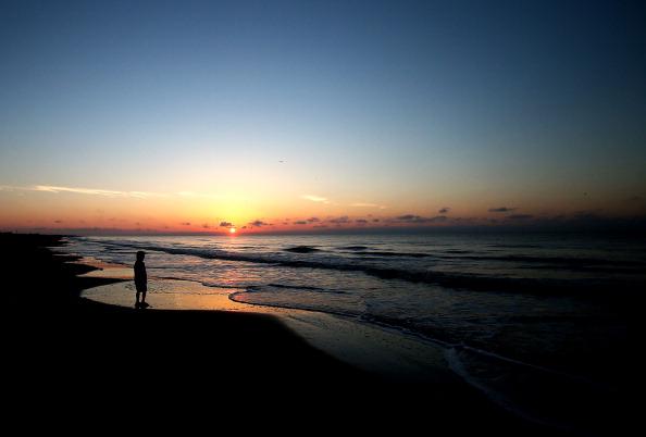Ecological Insults and Injuries Revealed Four Years After Deepwater Horizon