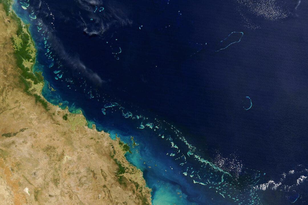 Satellite Technology to Help Ailing Great Barrier Reef