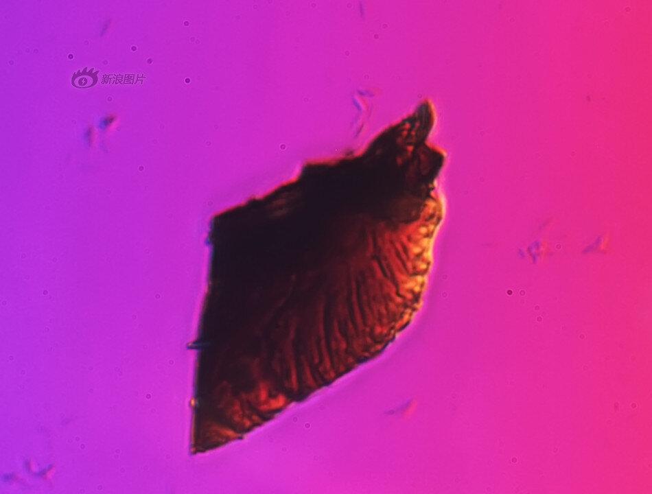 Beijing’s PM 2.5 Pollution Under the Microscope: Ugly, Diverse (Photos)