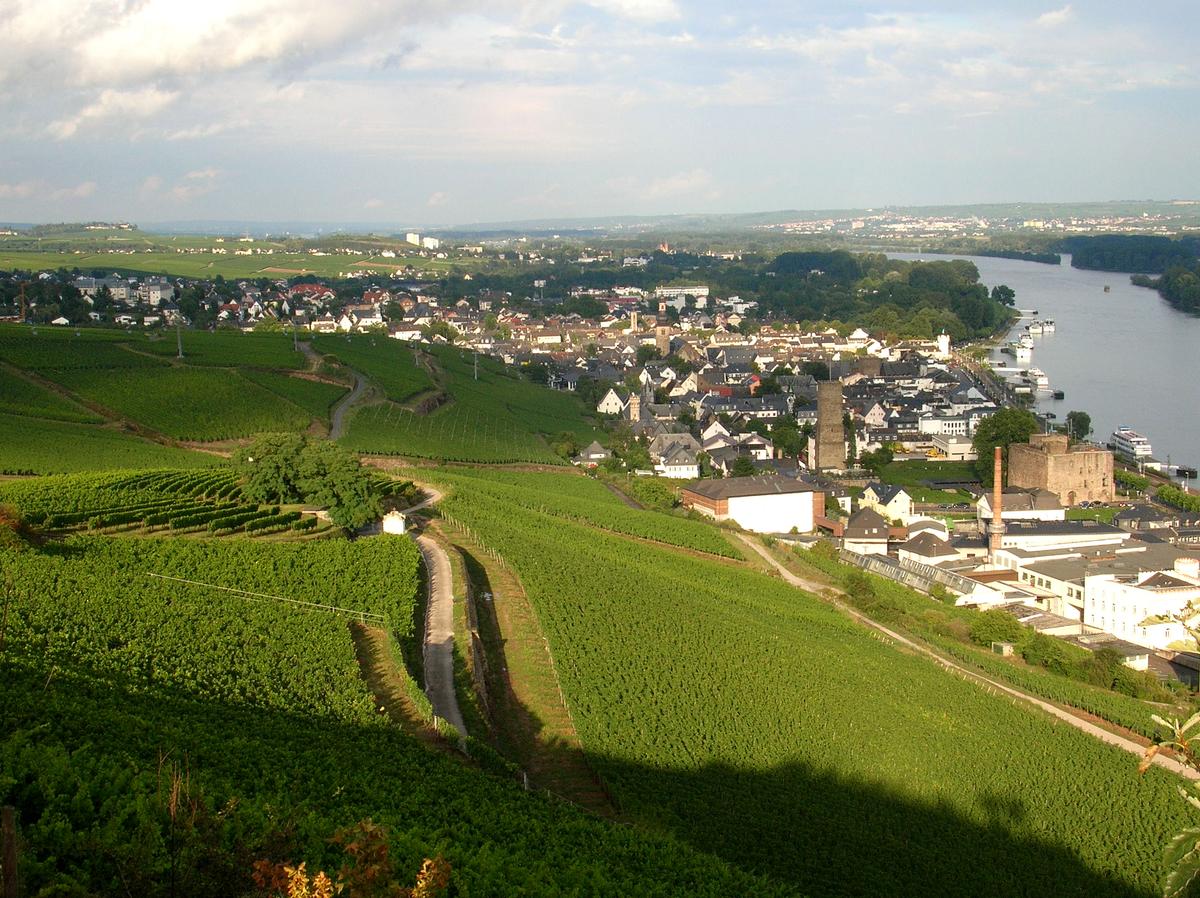 Germany’s Liquid Gold