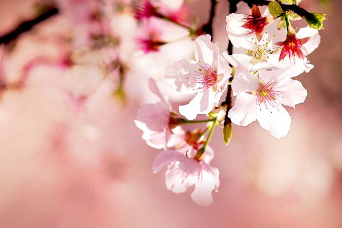 7 Headlines You Won’t Read Anywhere Else Today: April 6