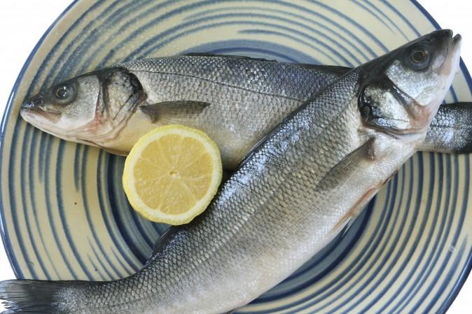Is Farmed Seafood Safe to Eat?