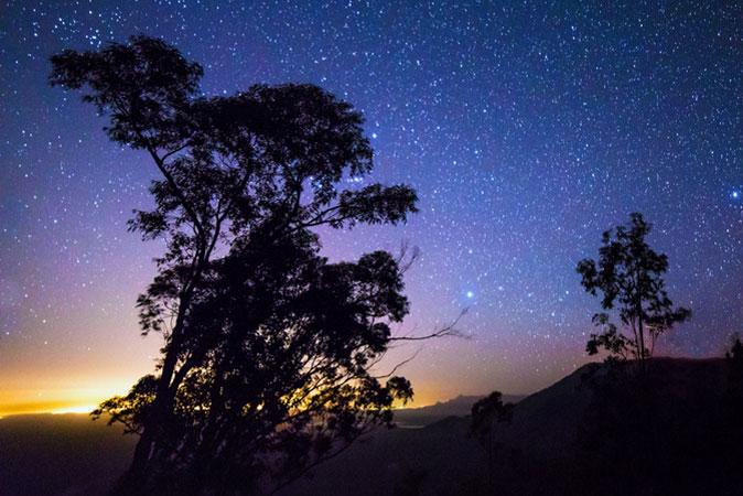 Darwin Meets Newton: Evolution and the Mass of the Galaxy