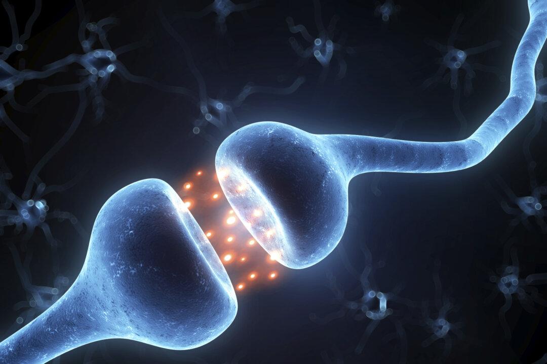Can We Regenerate Brain Cells?