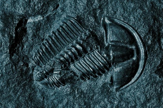 The Greatest Mass Extinction Ever May Have Been Kicked Off by Microbes