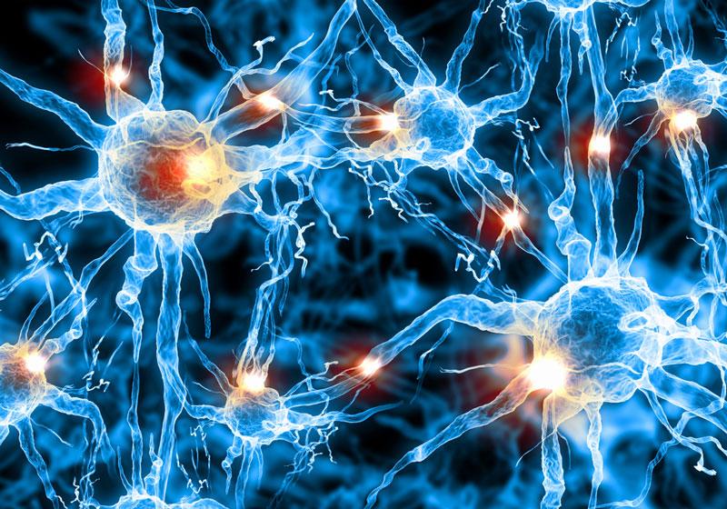 Team Invents Probes to Watch Neurons Fire in Real Time