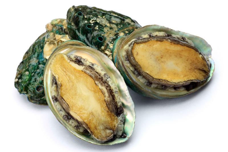 ‘Forensic Genomics’ Solves Dead Abalone Mystery