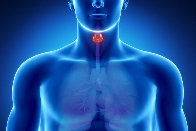 Treating the Root Cause of Thyroid Problems