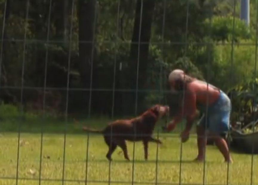 Swamp People Dog Dead: Tyler The Dog Dies at 13