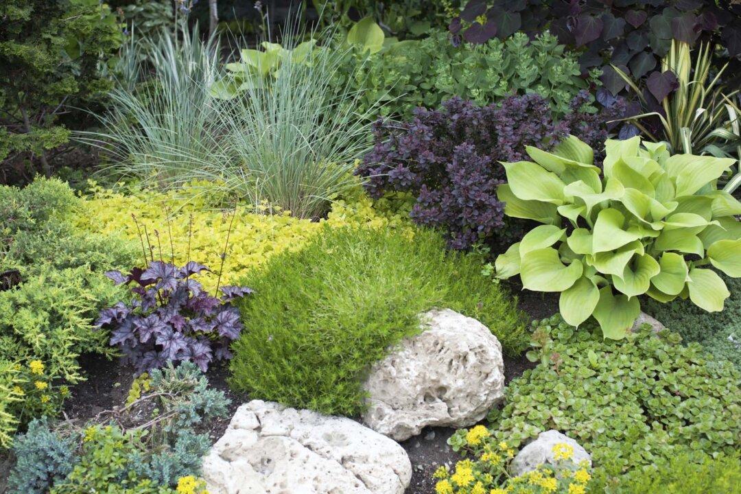 How to Create a Low Maintenance Garden