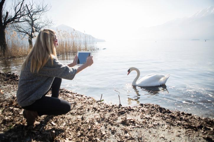 Citizen Science Maps World’s Green Space: Here’s How It Helps Your Garden