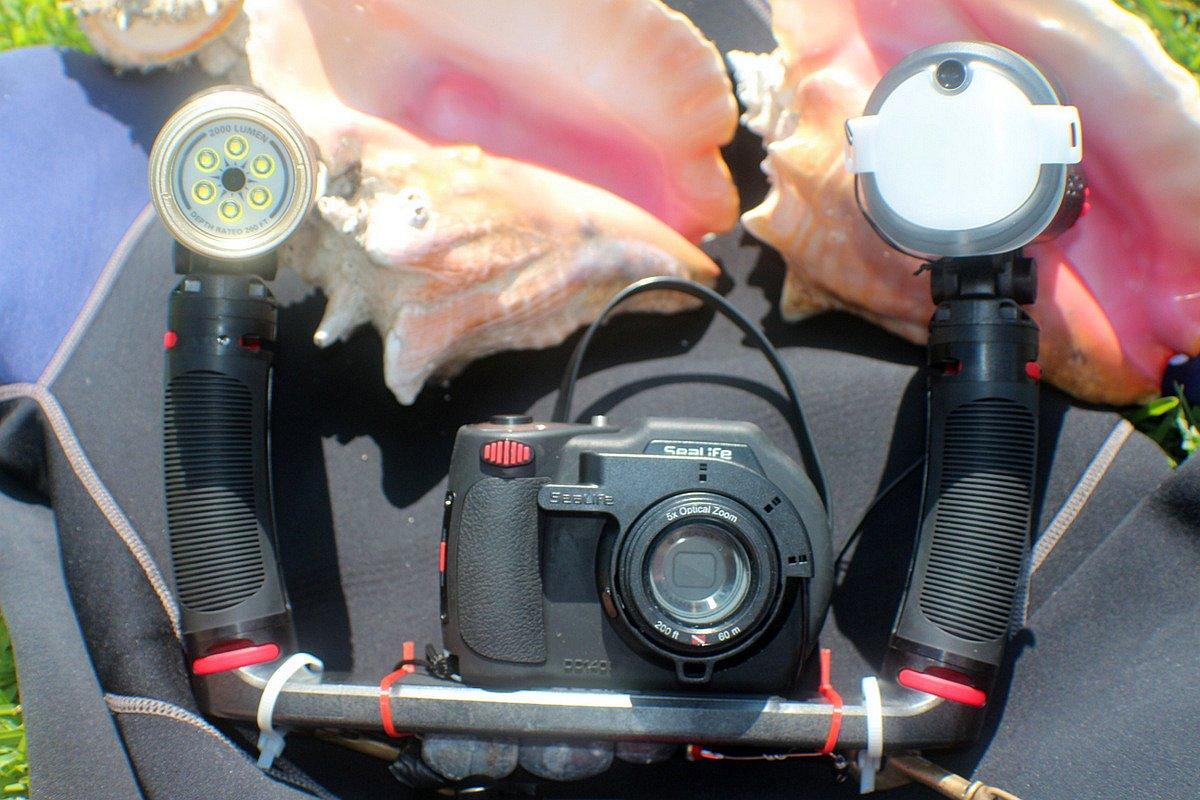 New Sea Dragon Camera Captures Underwater Images