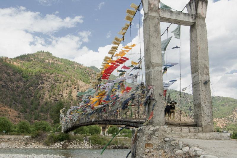 7 Headlines You Won’t Read Anywhere Else Today: May 25