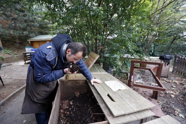 The Complete Guide to Composting