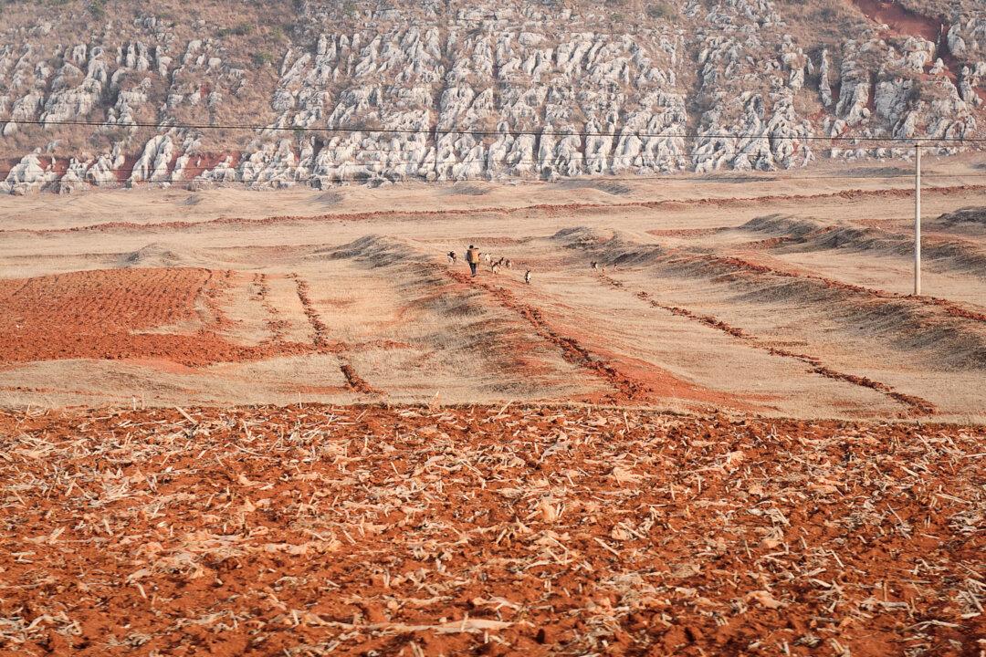 Shift in China’s Food Policy Spells Trouble for US