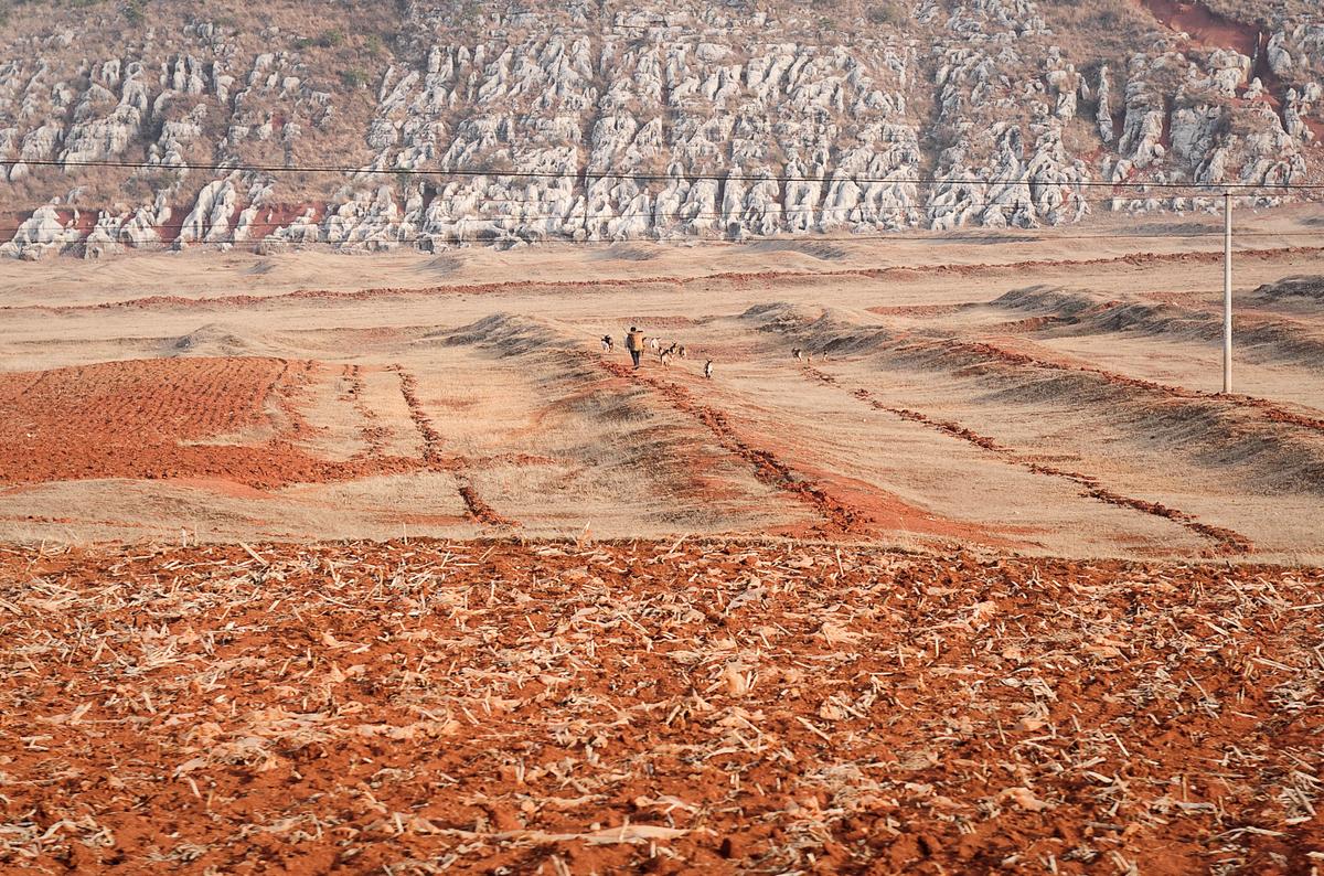 Shift in China’s Food Policy Spells Trouble for US