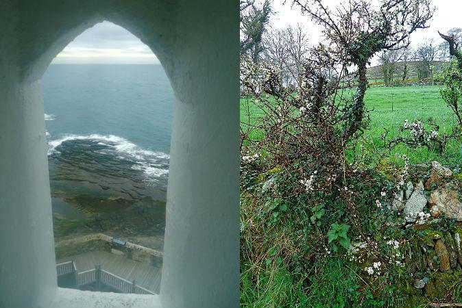 Irish Ghosts and Gaelic Greenery