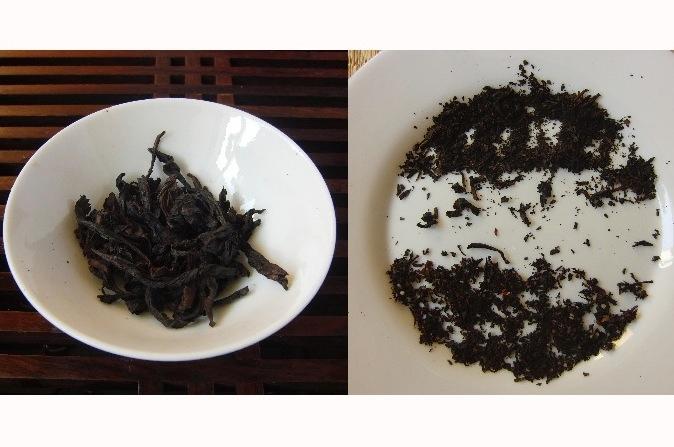 The Tea Zealot Arrives