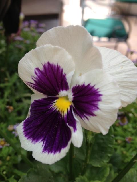 Mother’s Day— A Celebration of Love and Health