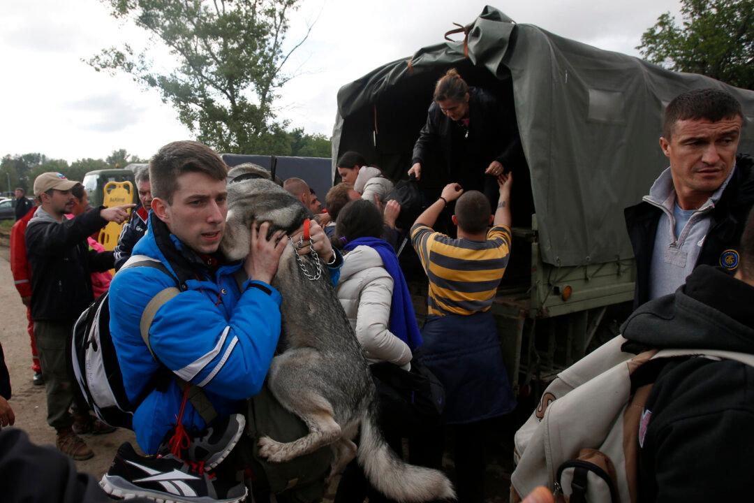 Flood-Drenched Balkans Must Deal With Tons of Drowned Livestock (+Videos, Photos)