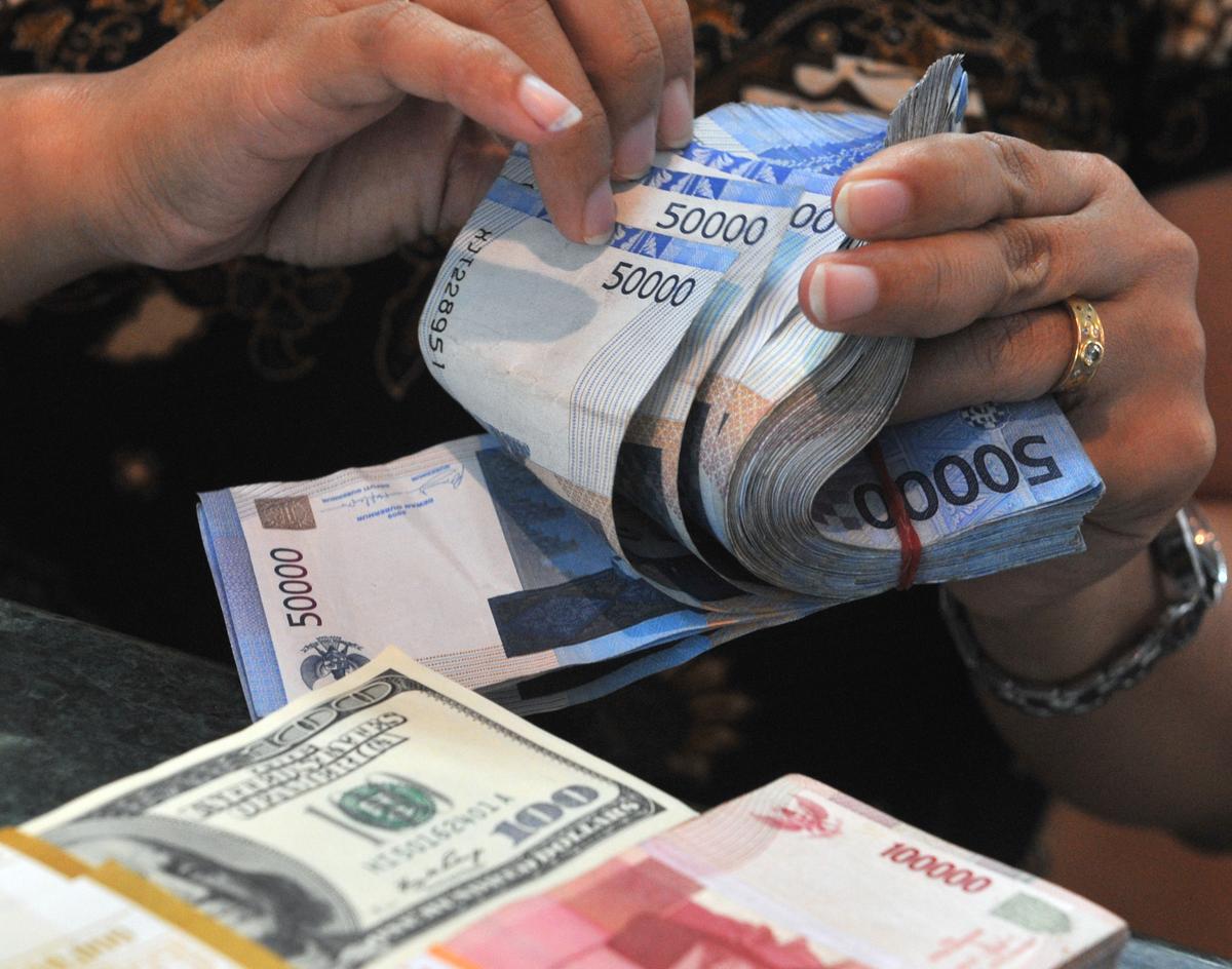 Currency of a True Developing Country Has an Uphill Climb