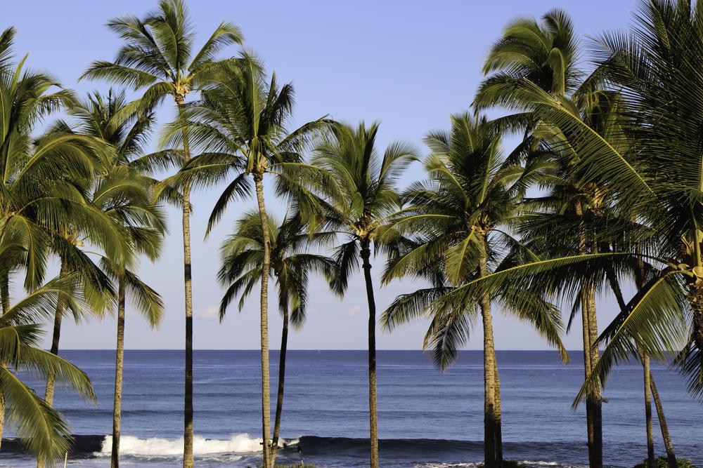 7 Headlines You Won’t Read Anywhere Else Today: May 29.