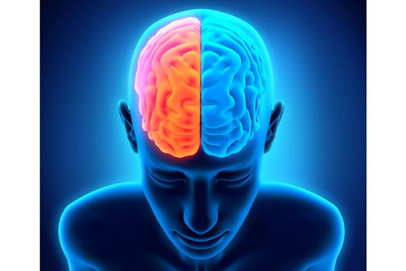 How Left-Right Brain Handoffs Happen Without a Hitch