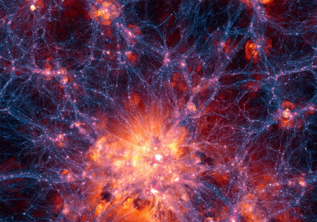 Decoding the Gravitational Evolution of Dark Matter Halos