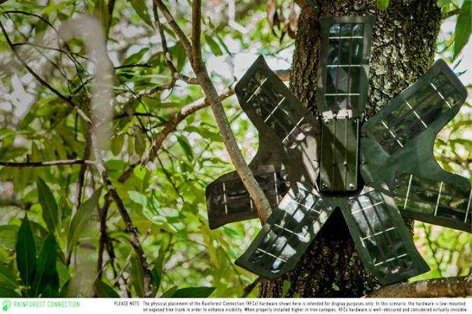 Discarded Cell Phones to Help Fight Rainforest Poachers, Loggers in Real-Time
