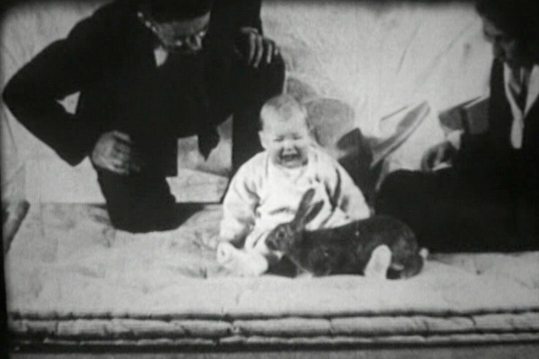 Canadian Researchers May Have Solved Long-Standing Psychology Mystery