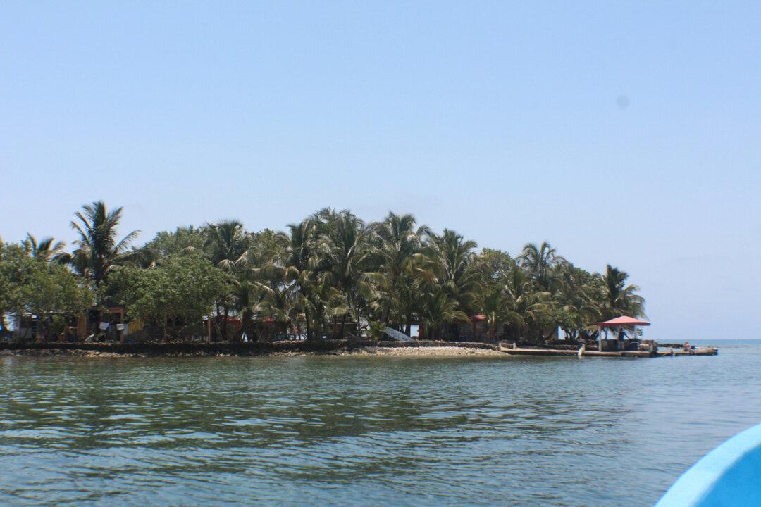 Diving Sapodilla Cayes Marine Reserve